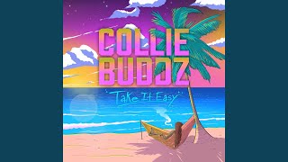 Video thumbnail of "Collie Buddz - High Grade (International Herb)"