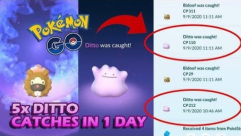 How to Catch Ditto in Pokemon Go ? Ditto Disguise November in Pokemon GO | Pokemon Go Shiny Ditto