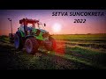 setva suncokreta 2022;sowing of sunflower 2022
