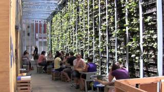 Greenhouse by Joost - Federation Square, Melbourne