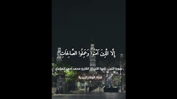 سورة التين بصوت الأستاذ محمد أحمد المؤيدي #الوقار_الزيدية #لايك #اكسبلور #العروة_الوثقى_الزيدية
