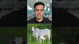 O MERCADO TÁ BOM… MAS SERÁ QUE É HORA DE VENDER?