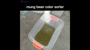 mung beans color sorting machine color sorter manufacturer