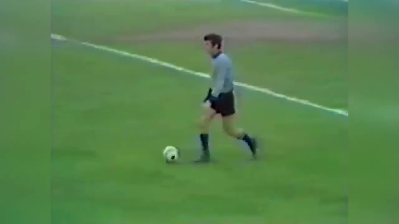 Dino Zoff vs Brazil 1973