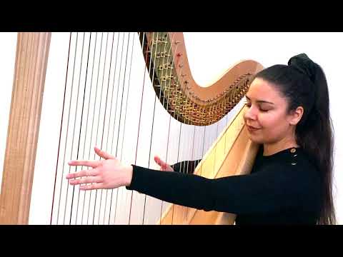 Hasselmans - Feuilles D'Automne, Serenade Mélancolique Op.45 // Harp, Zita Silva