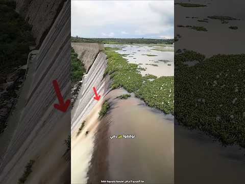 أزال العشب من على ماء السد 