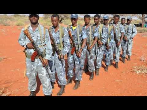 Maxaad Kala Socota Mideynta ONLF Iyo Liyuu Boolis