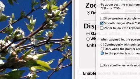 screen record & zoom