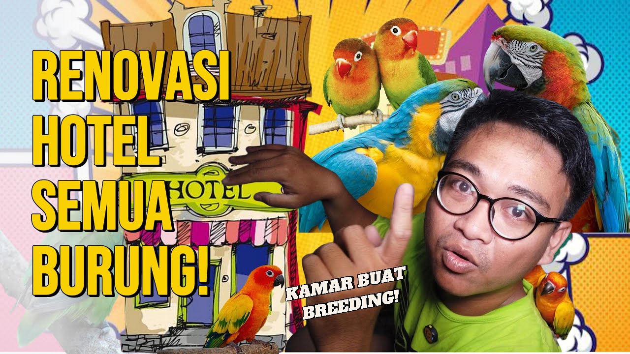 BONGKAR SEMUA HOTEL BURUNG ‼️ MAKIN KEREN KAMAR BUAT BREEDING PARROT