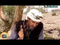 مسلسل قناف