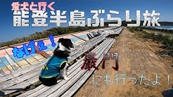 Ben The Bordercollie Youtube Ben The Bordercollie Youtube