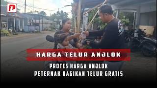 PROTES HARGA ANJLOK, PETERNAK AYAM PETELUR DI JEMBER BAGIKAN TELUR GRATIS