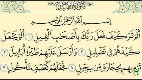 سورة الفيل تلاوة واحكام