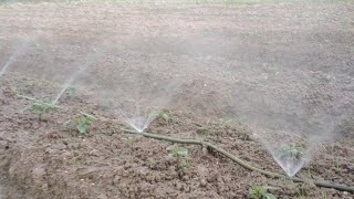 DIY sprinkler irrigation system from recycled plastic pipes