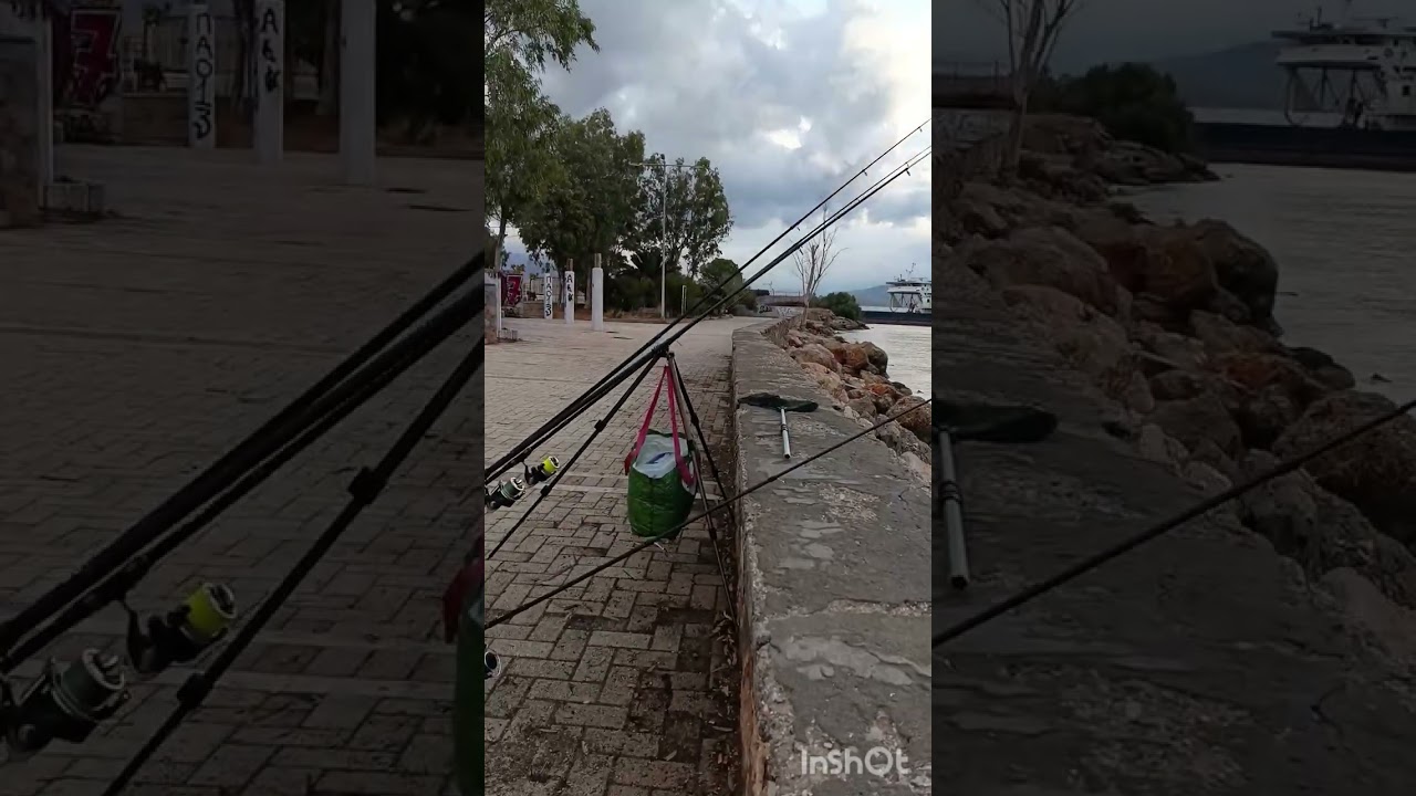 Ψάρεμα στην Ελευσίνα _iris
