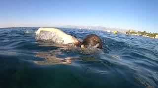 Woman  Beautiful HD Quality Water Video Free Stock Footage HOT FreeTips screenshot 2