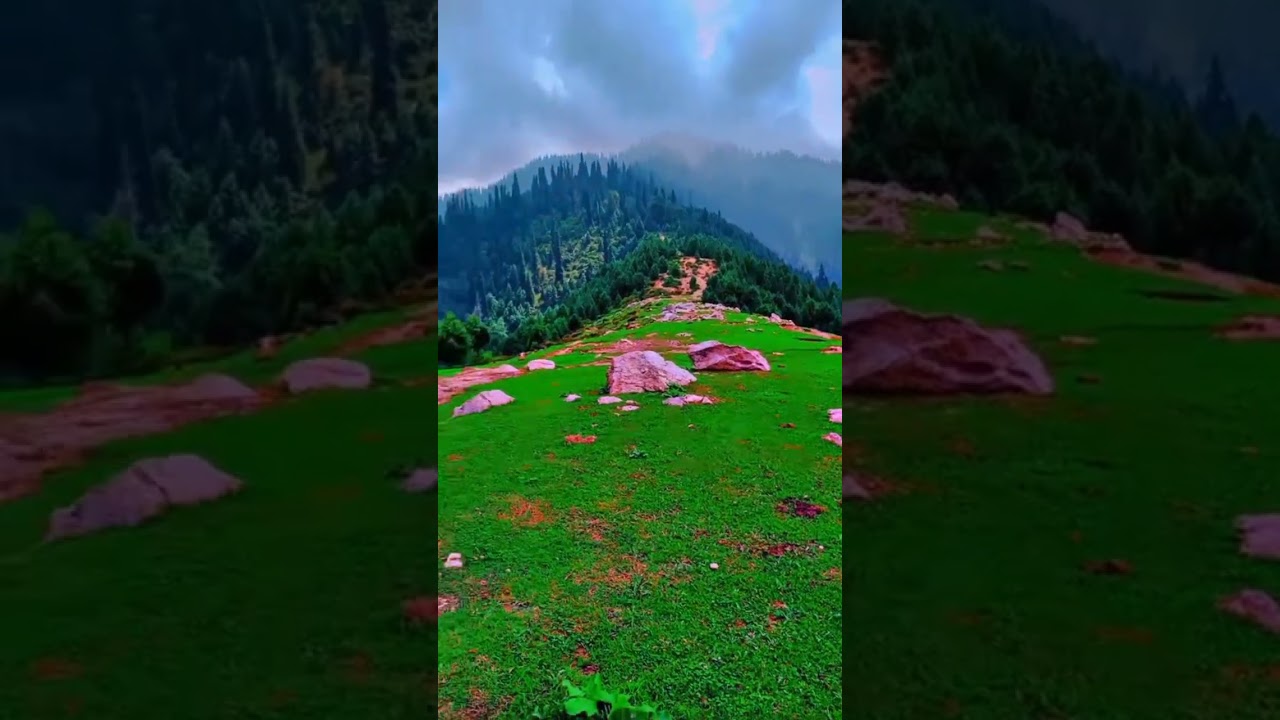 wade shangla shang village