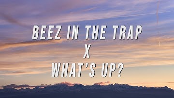 Nicki Minaj, 4 Non Blondes - Beez In The Trap X What’s Up? (TikTok Mashup) [Lyrics]