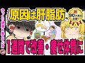 【50代のダイエット】脂肪が減らない原因は脂肪肝だった・1週間で改善し脂肪を減らす・専門医が教える痩せ体質になる方法【ゆっくり解説】