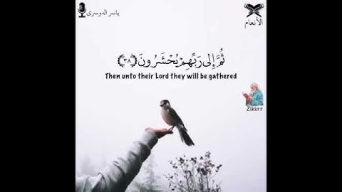 قرآن كريم _ القارئ / ياسر الدوسري _ اجمل حالات واتس آب دينية