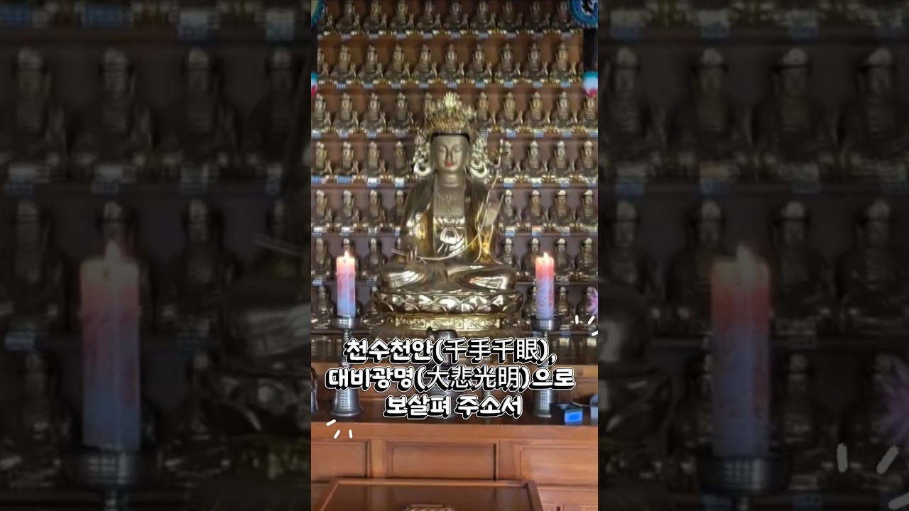 천 개의 손과 천 개의 눈으로 중생을 구제하시는 천수천안 관세음보살님의 자비가 함께하기를 발원합니다! #소원성취 #업장소멸 #자기수행