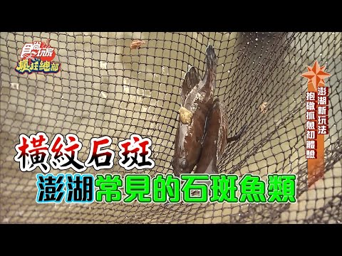 【食尚玩家瘋狂總部】澎湖新玩法！抓石斑魚體驗 探訪神秘潮間帶！ 網路獨家 20200521 #7