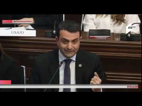 დავით ასათიანის შეკითხვები თამარ ალანიას