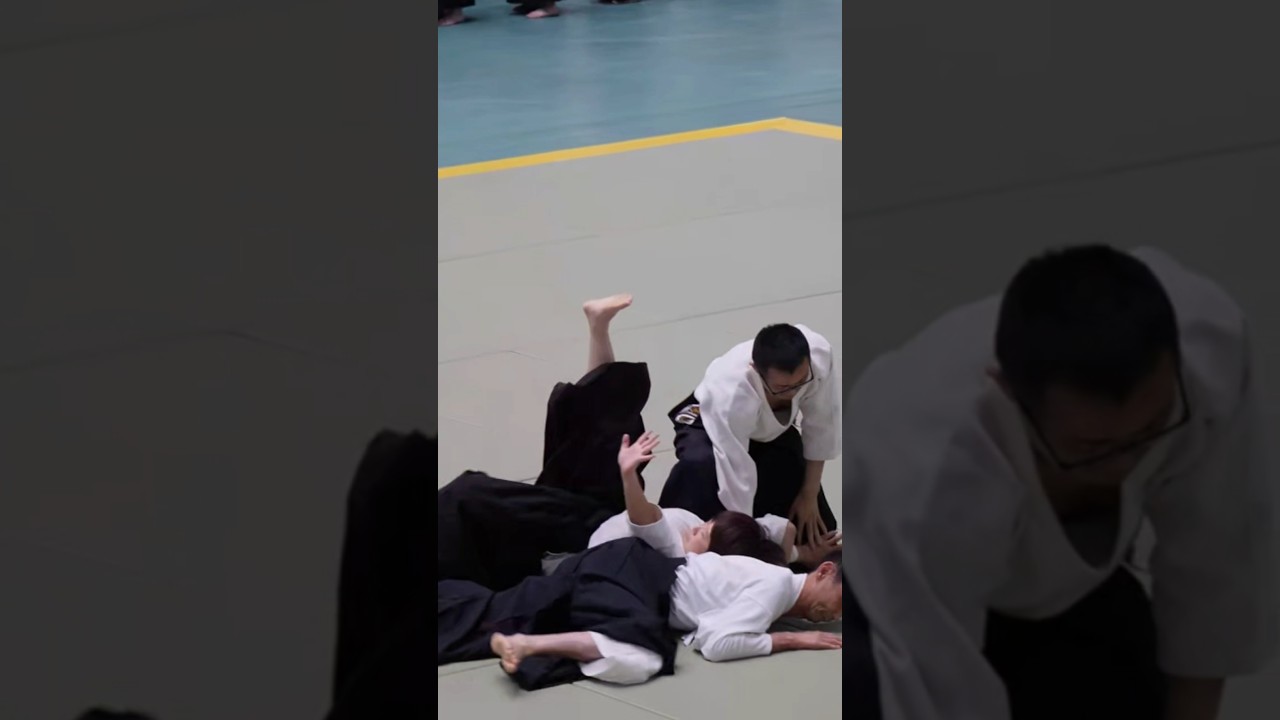 Tomita Takashi #aikido #alljapanaikido #aikikai