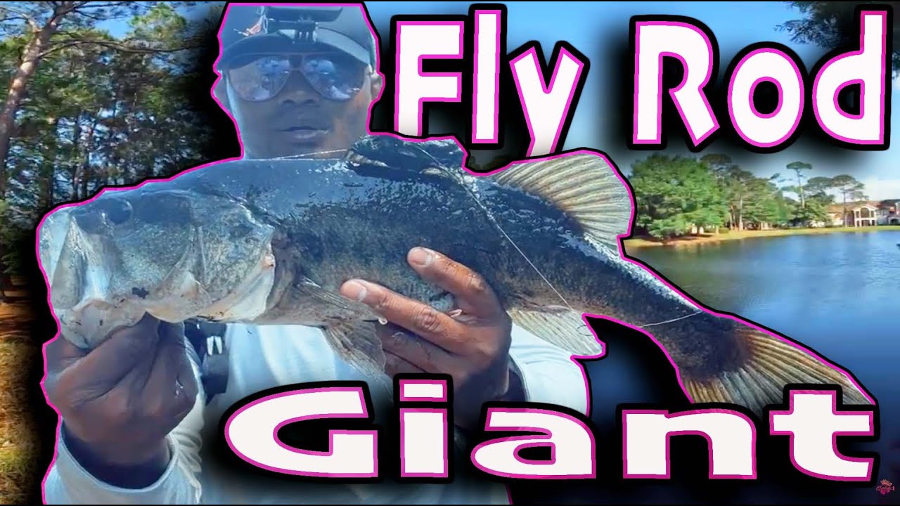 You’re Not Supposed to Catch Bass Like This… (Florida Fly Fishing)