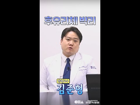   눈 앞 이물질 비문증의 치료는 안과 김준형 김해랑 교수