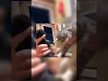 One heart wanted a cat, two hearts came home 😝 #shorts #funnyanimals #entertaininganimals