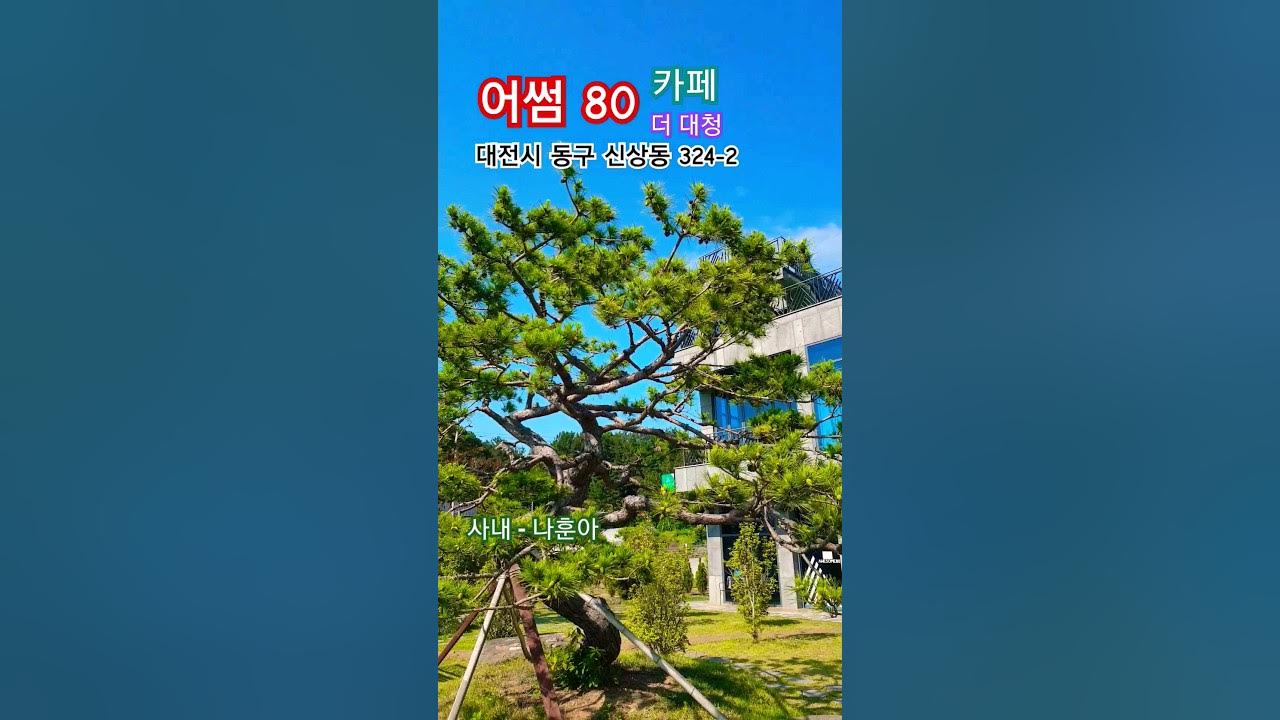 사내 - 나훈아 (Man - Na Hoon-A) 어썸 80 (대전.신상동 324-2) Korea's Best trot national male singer-songwriter 🇰🇷 사내 - 나훈아 (Man - Na Hoon-A) 어썸 80 (대전.신상동 324-2) Korea's Best trot national male singer-songwriter 🇰🇷