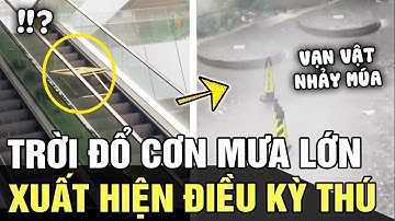 Mưa lớn, sân trường bỗng trở thành 