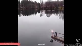 Walking On Water Funny Video Meme
