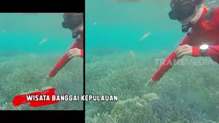 Download lagu Surga Bawah laut di Wisata Banggai Kepulauan | RAGAM INDONESIA (01/12/20)
