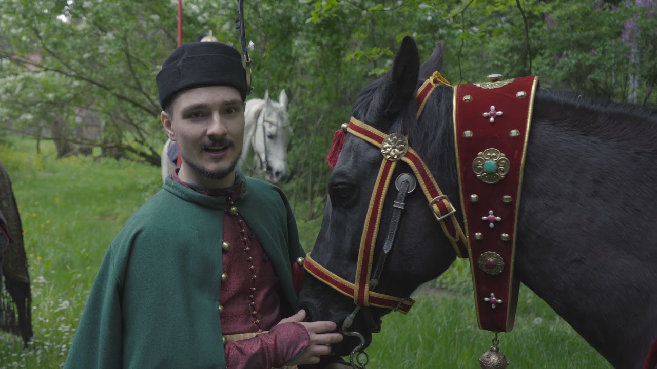 Kawalkator, czyli jak ujeździć konia husarskiego