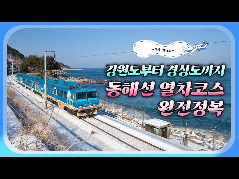강원도부터 경상도까지~ 동해선 열차코스 완전정복🚉 하루 만에 #<strong>동해안</strong> 핫한 명소와 <strong>맛집</strong> 투어 완전 가능! #속초 #강릉 #영덕 #포항 #경주여행