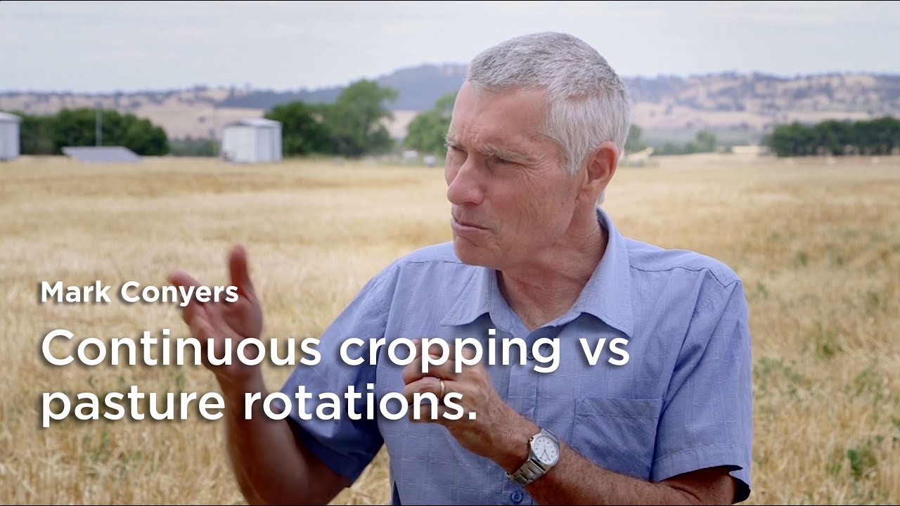Mark Conyers: Is continuous cropping sustainable in the long term?