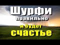 Брошенный шурф. Из ямы много интересных находок.