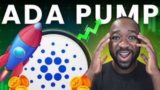4 Reasons Why Cardano Will Outperform BTC, ETH & SOL!