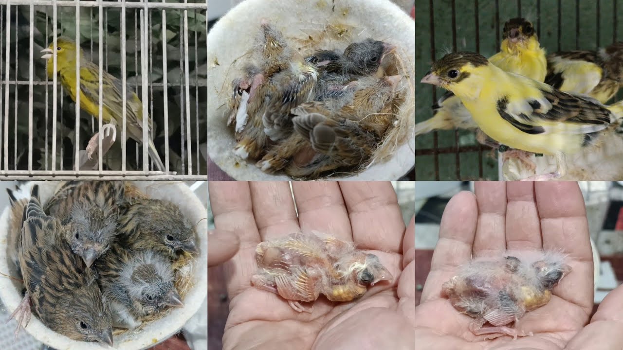 👉CUANDO UNO ENSEÑA, DOS APRENDEN.👈