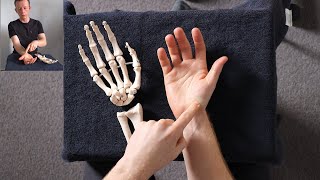 Wrist bones and palpation for physical exam