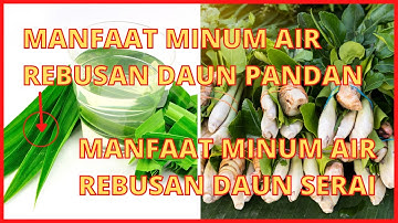 Manfaat Minum Air Rebusan Daun Pandan dan Serai Untuk Kesehatan