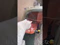 ペコの新しいお家!?笑#猫 #保護猫 #野良猫 #とおるチャンネル #shorts