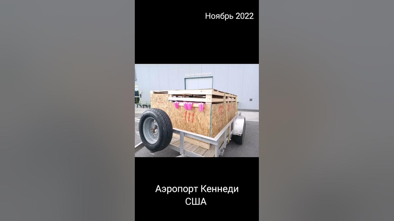 Import 2022