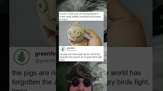 Ancient Year Pig Idol Looks Just Like Angry Birds