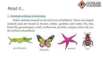 Skylark Science Book 2, Chapter 2, Lecture 2