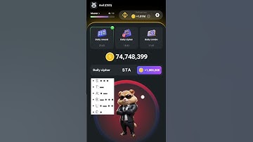 hamster kombat daily Cipher code 28 june...#news #crypto #show #hamster#hamsterkombat #btc #toncoin