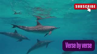 Genesis 1:21 Explained | Great Sea Creatures and Winged Birds Created