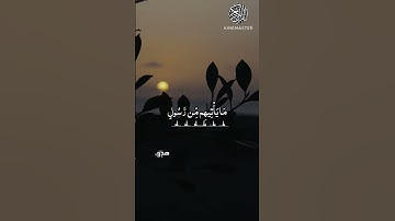 يا حسرة على العباد ، تلاوة مبكية في زمن الفتن ، شريف مصطفى.